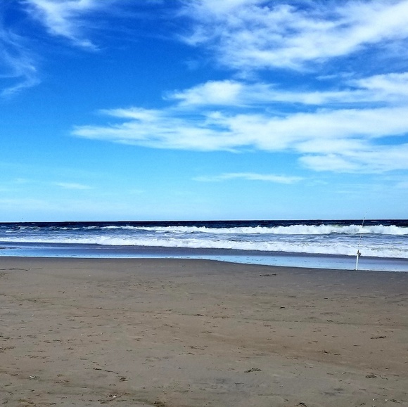 Meet your Posher, Melody - Picture 2 of 2